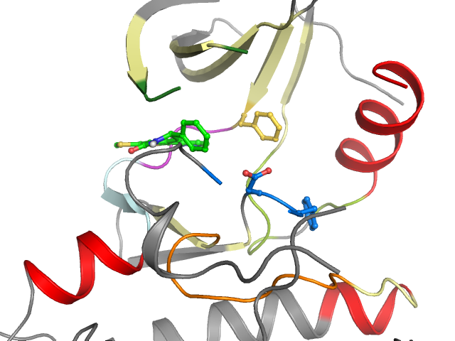 The orthosteric binding pocket