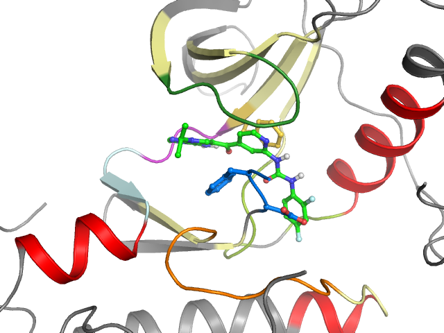 The orthosteric binding pocket
