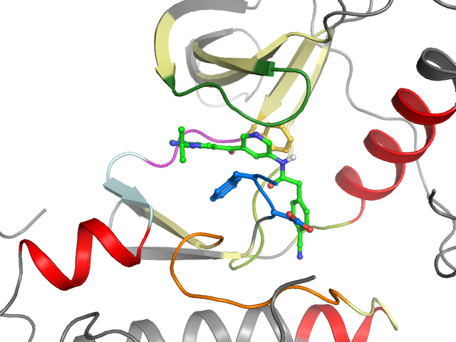 The orthosteric binding pocket