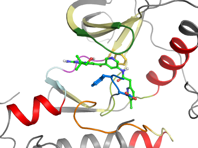 The orthosteric binding pocket