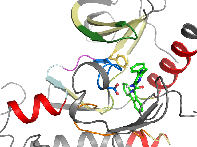 The orthosteric binding pocket