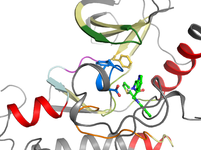 The orthosteric binding pocket