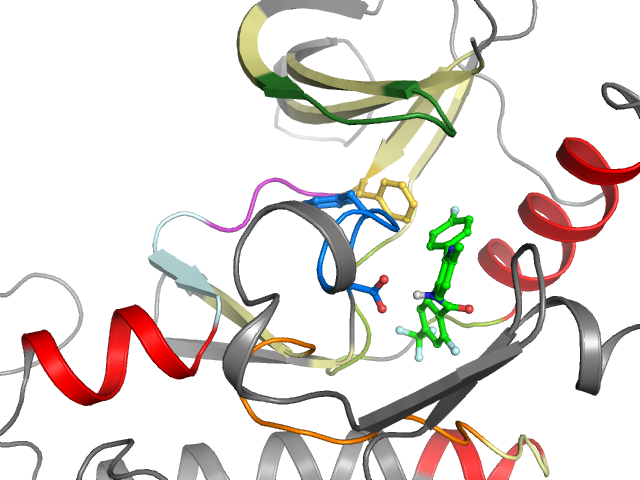 The orthosteric binding pocket