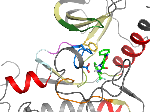 The orthosteric binding pocket