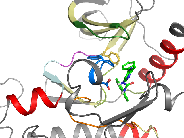 The orthosteric binding pocket