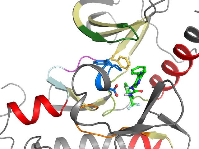 The orthosteric binding pocket