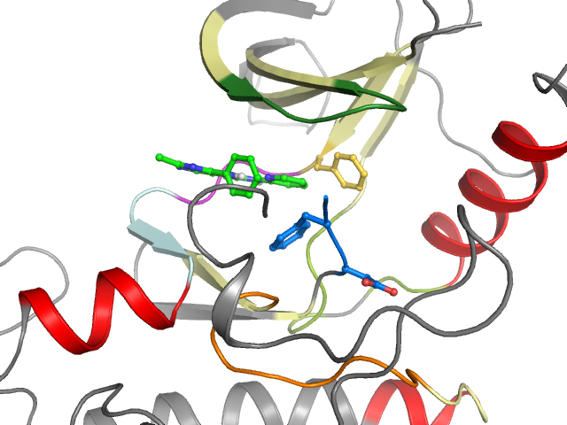 The orthosteric binding pocket