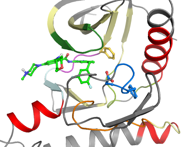 The orthosteric binding pocket