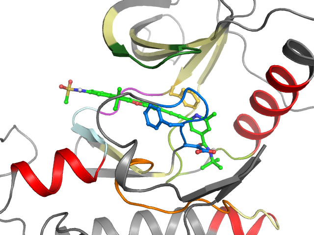 The orthosteric binding pocket