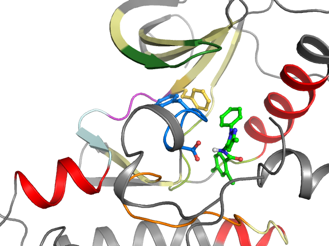The orthosteric binding pocket