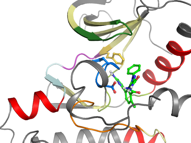 The orthosteric binding pocket
