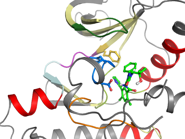 The orthosteric binding pocket