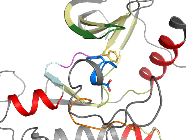 The orthosteric binding pocket