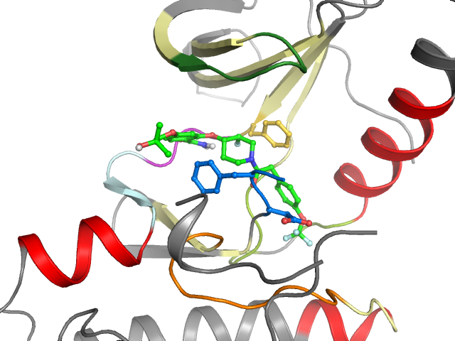The orthosteric binding pocket