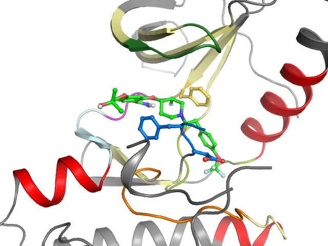 The orthosteric binding pocket