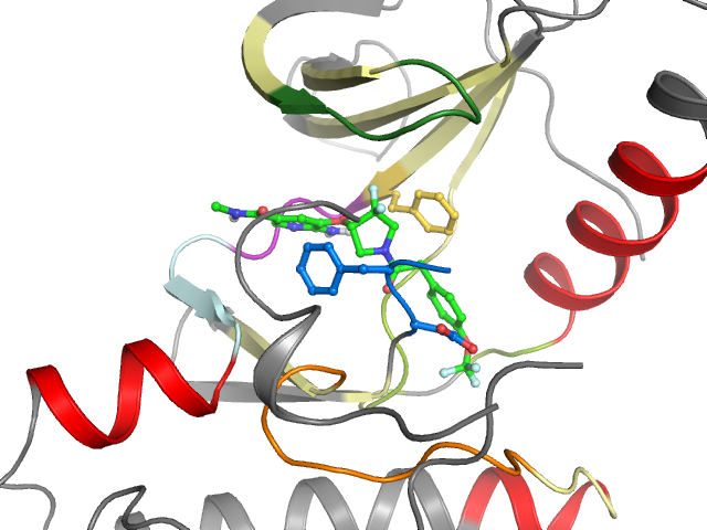 The orthosteric binding pocket
