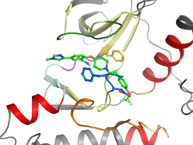The orthosteric binding pocket