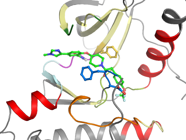 The orthosteric binding pocket