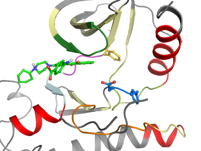 The orthosteric binding pocket