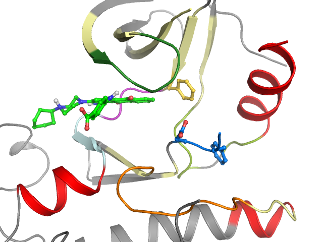 The orthosteric binding pocket