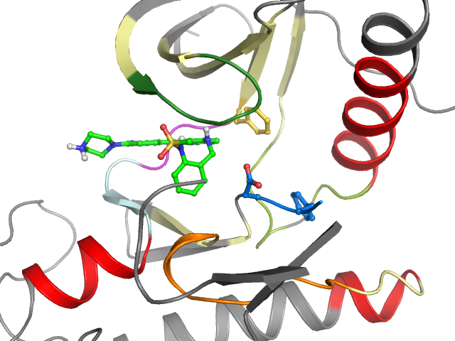 The orthosteric binding pocket
