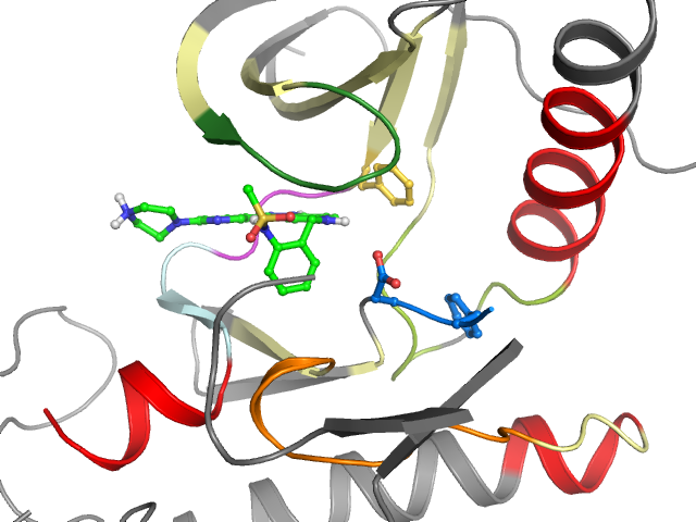 The orthosteric binding pocket