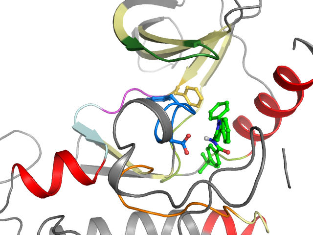 The orthosteric binding pocket
