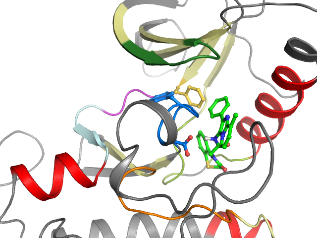 The orthosteric binding pocket