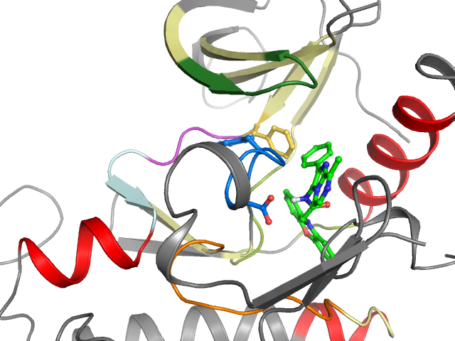 The orthosteric binding pocket