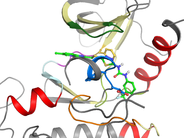 The orthosteric binding pocket