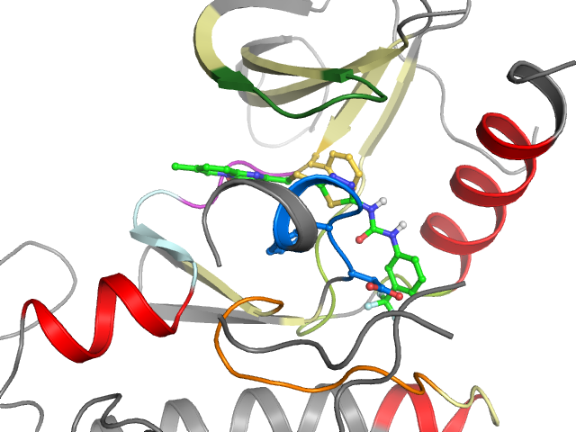 The orthosteric binding pocket