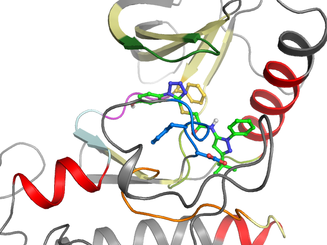The orthosteric binding pocket
