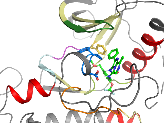 The orthosteric binding pocket