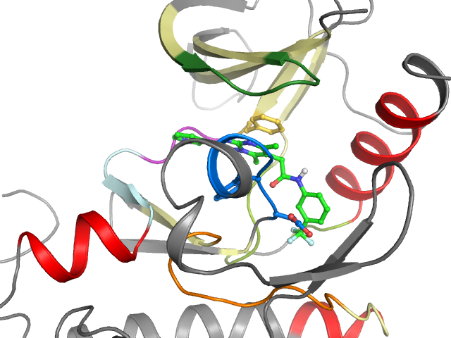 The orthosteric binding pocket