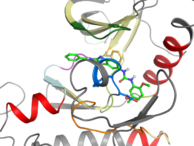 The orthosteric binding pocket