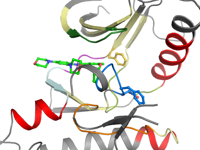 The orthosteric binding pocket