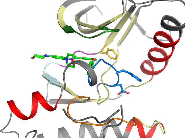 The orthosteric binding pocket