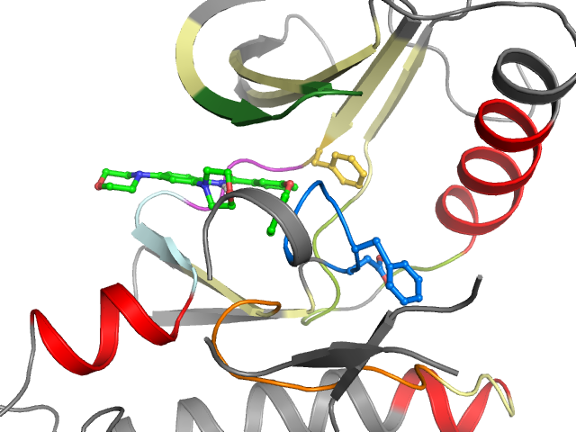 The orthosteric binding pocket
