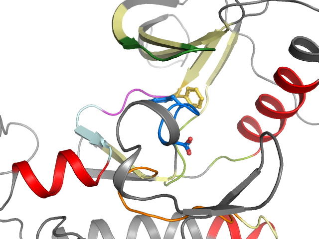 The orthosteric binding pocket