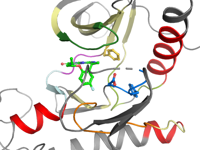 The orthosteric binding pocket