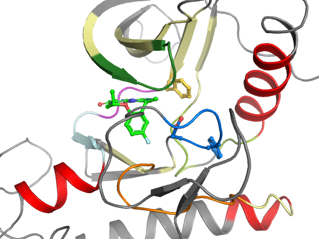 The orthosteric binding pocket