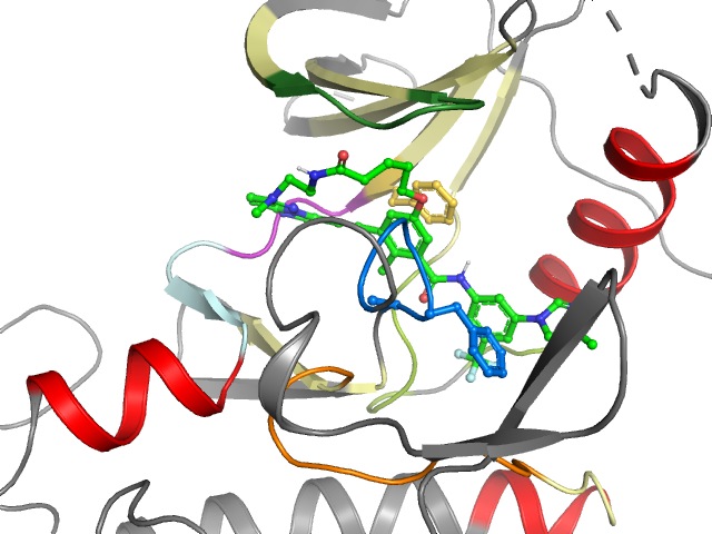 The orthosteric binding pocket