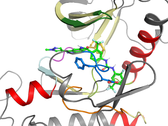The orthosteric binding pocket