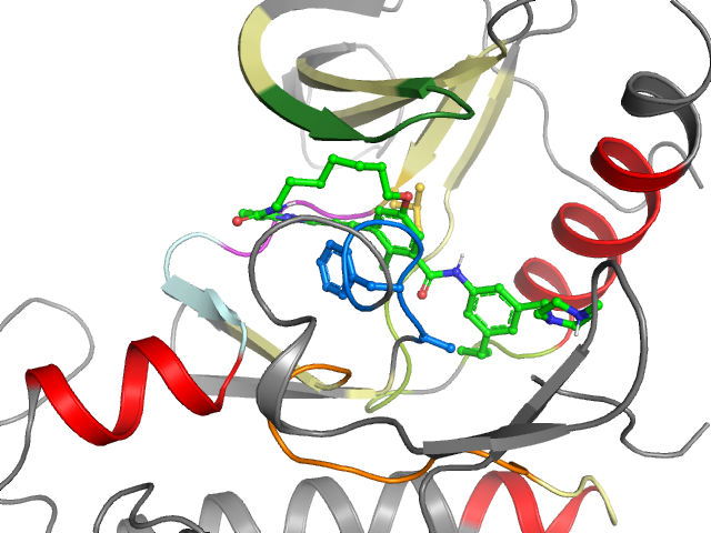 The orthosteric binding pocket