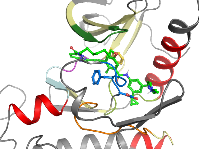 The orthosteric binding pocket
