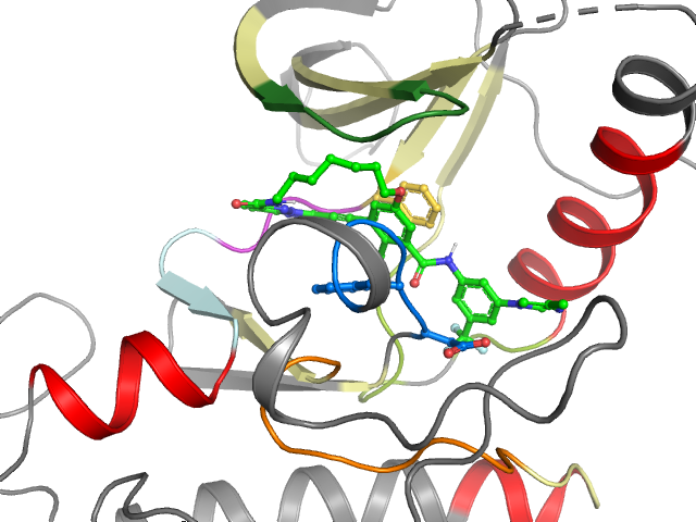 The orthosteric binding pocket