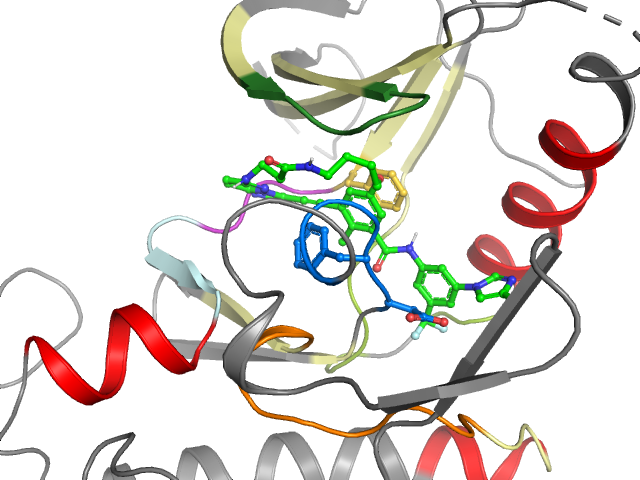 The orthosteric binding pocket