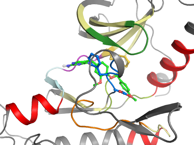 The orthosteric binding pocket