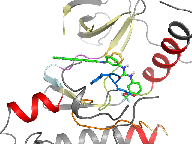 The orthosteric binding pocket