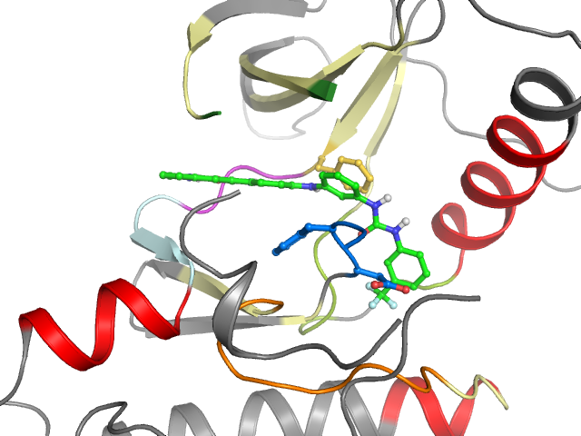 The orthosteric binding pocket